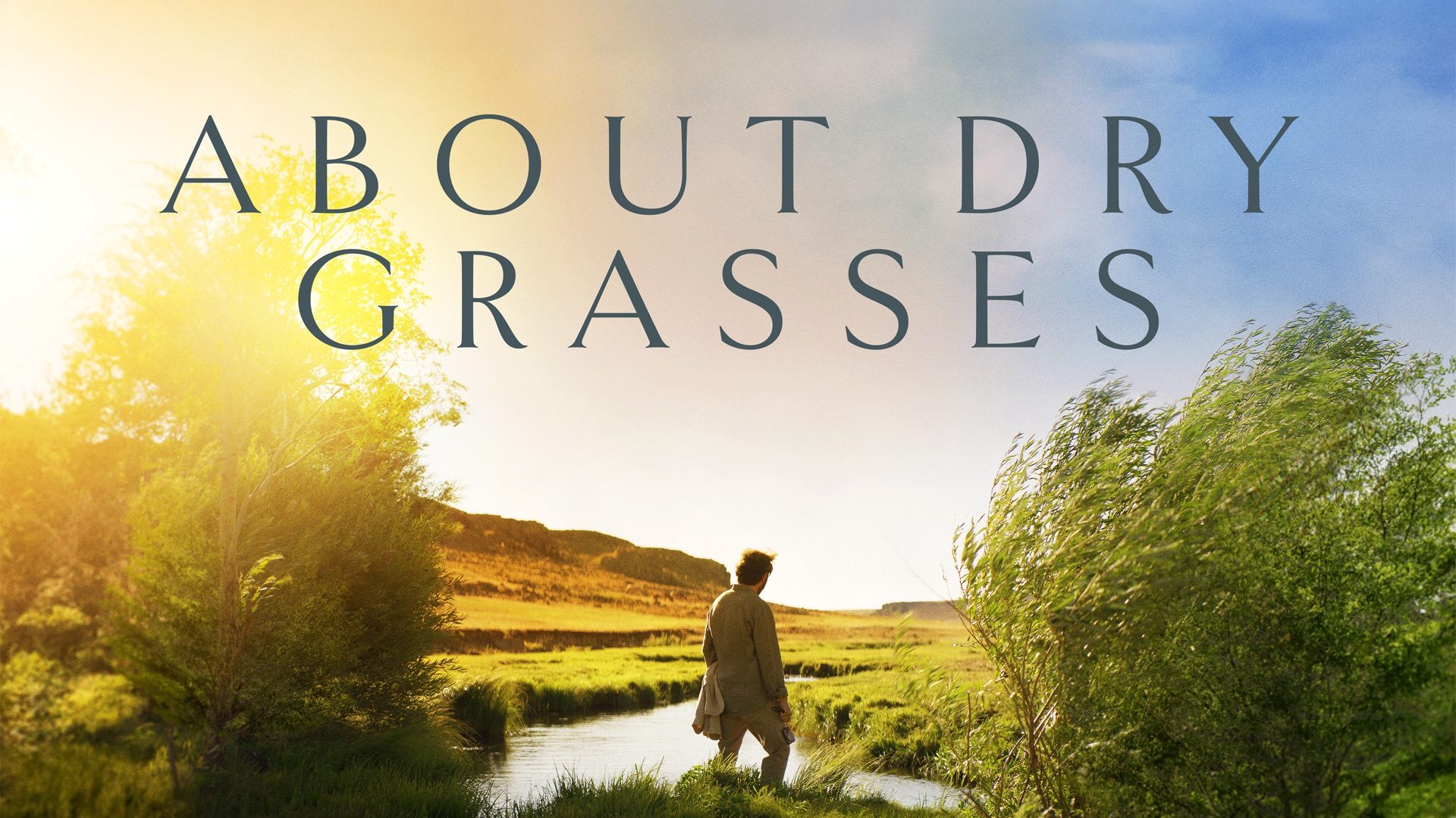 About Dry Grasses