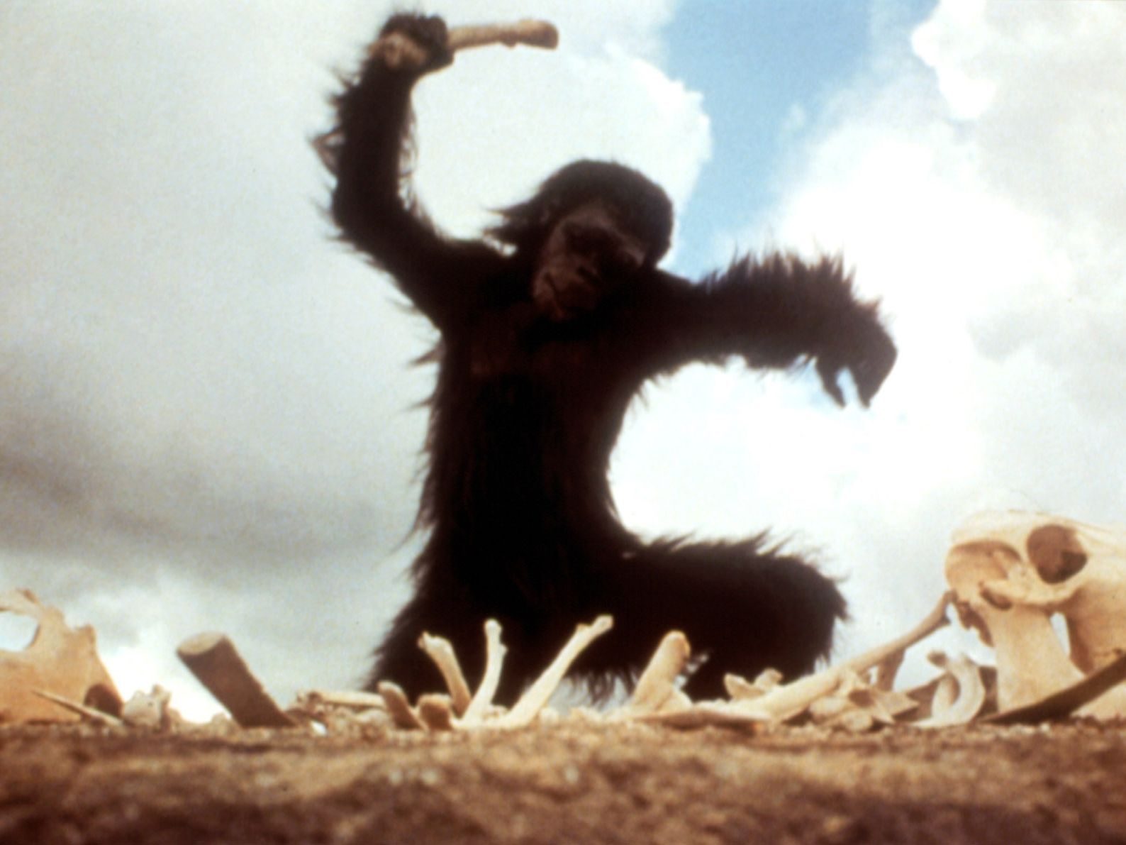 کشف استخوان به‌مثابه ابزار در آغاز فیلم 2001: A Space Odyssey
