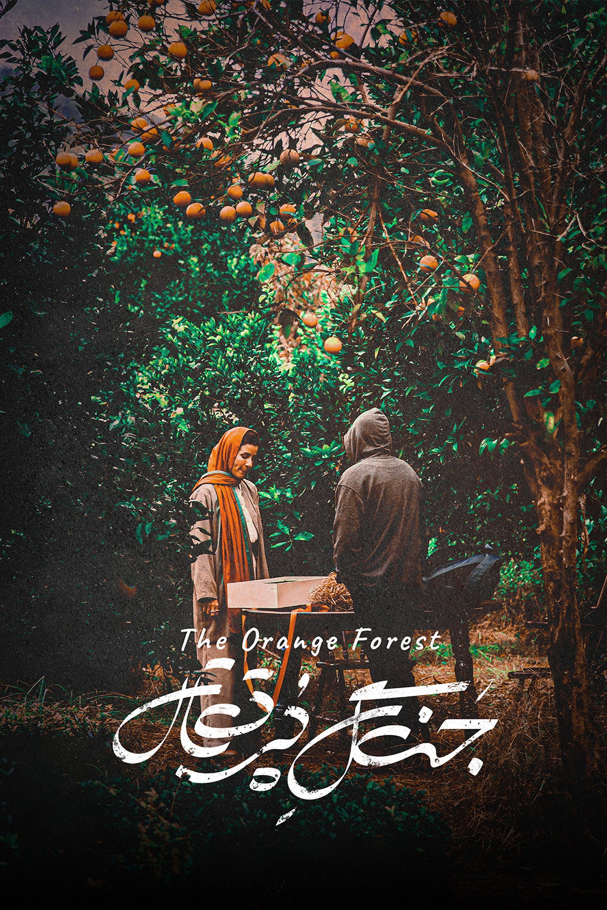 پوستر جنگل پرتقال
