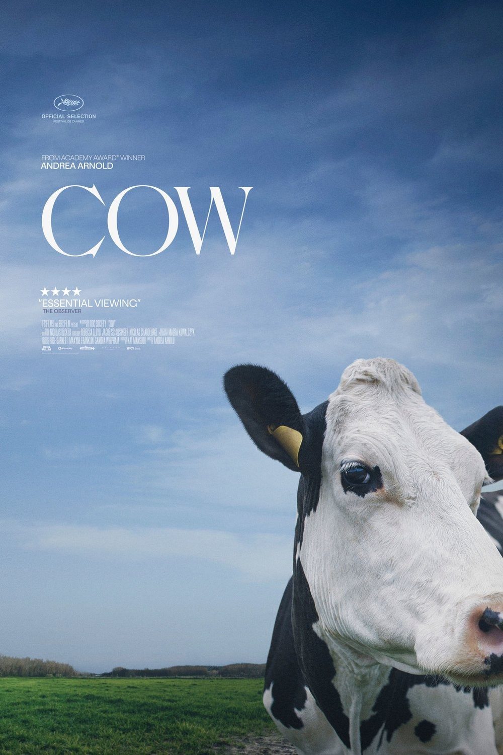 پوستر Cow