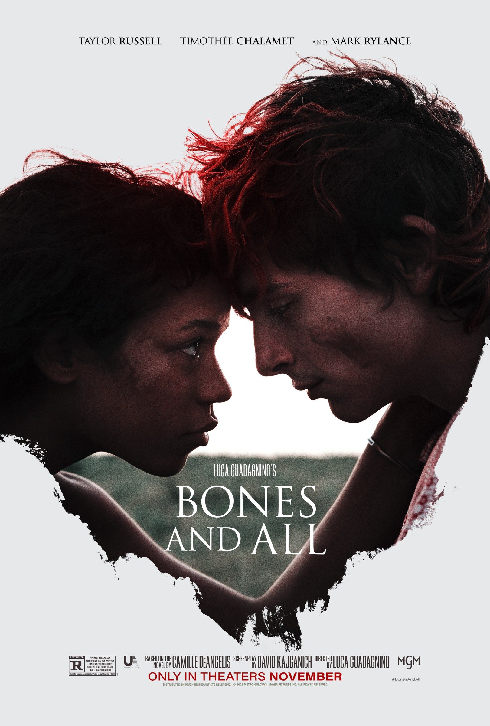 پوستر Bones and All