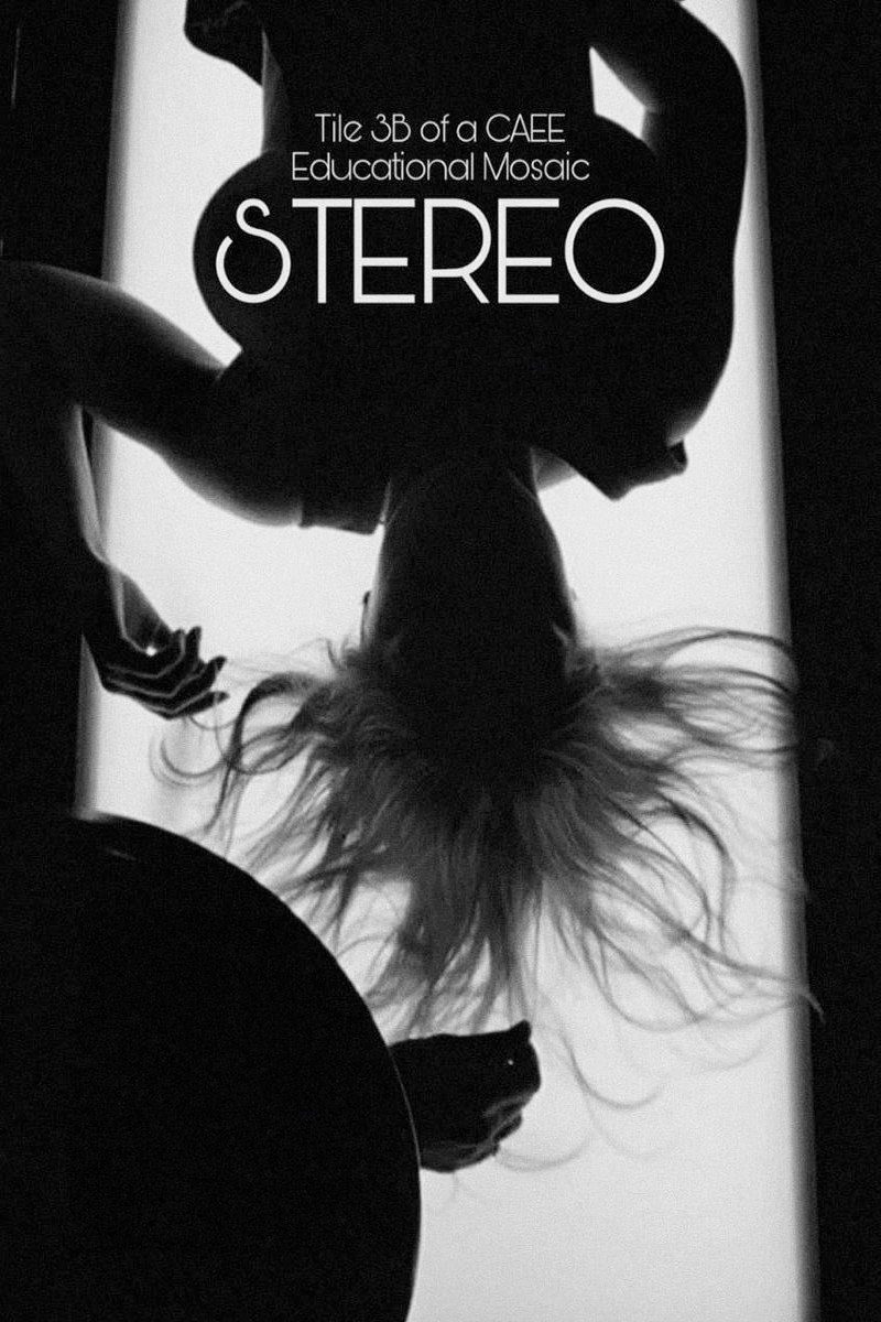 پوستر Stereo