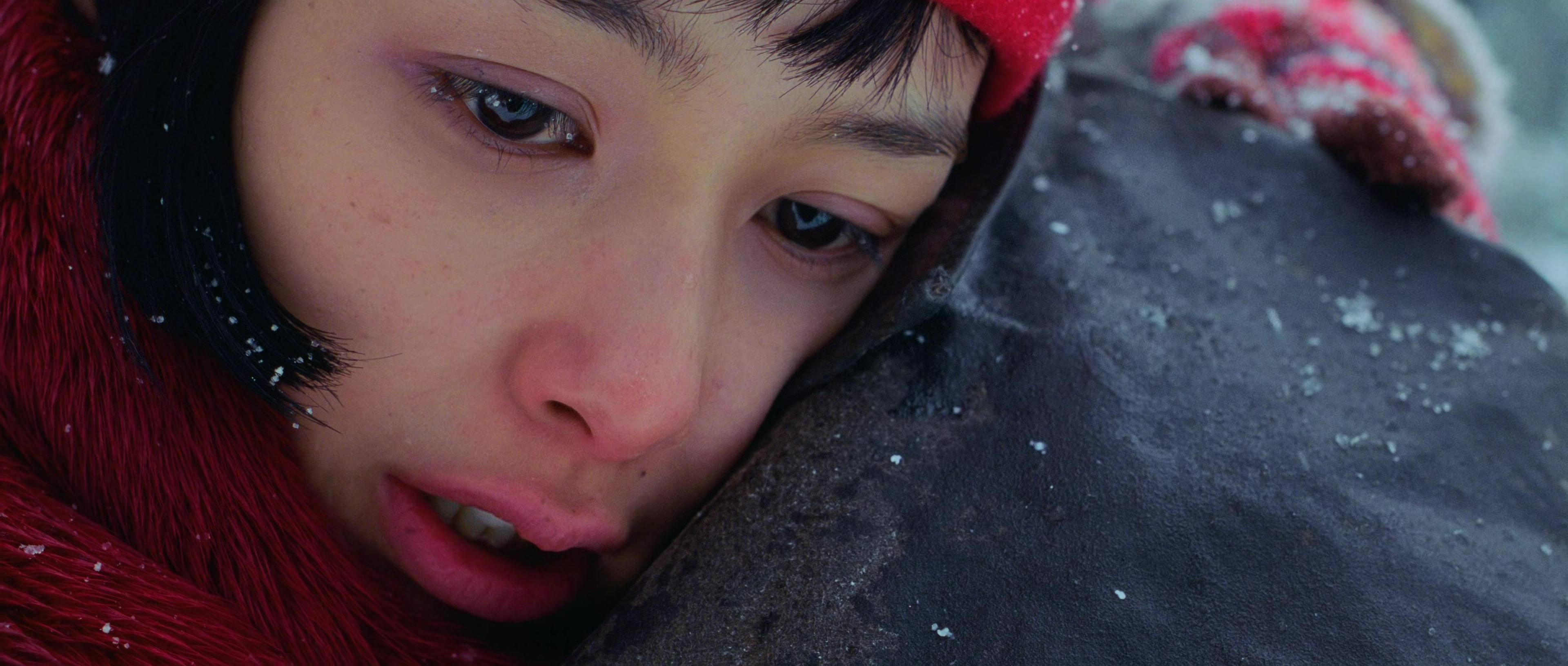 چشم‌انداز برفی در پایان Oldboy